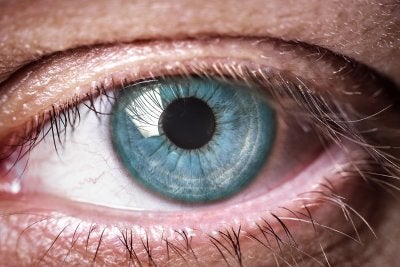 Age-related macular degeneration treatments